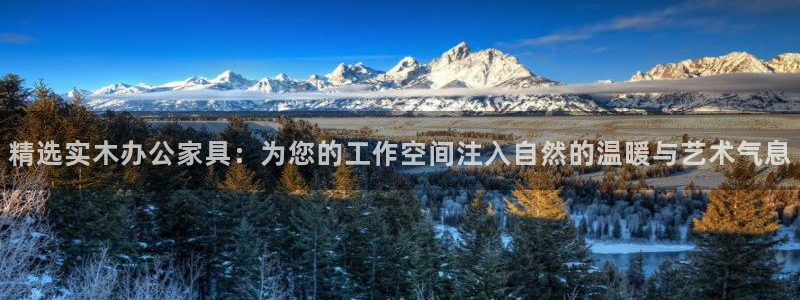 沐鳴2平臺首頁登錄：精選實木辦公家具：為您的工作空間注入自然